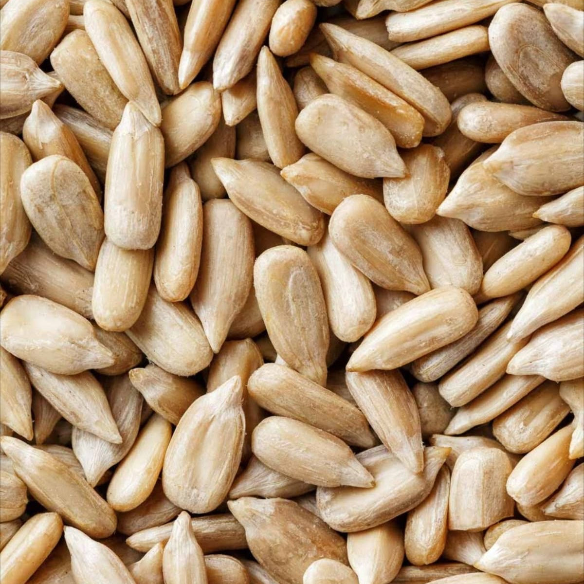 Sunflower Seed Butter by NuttaNut