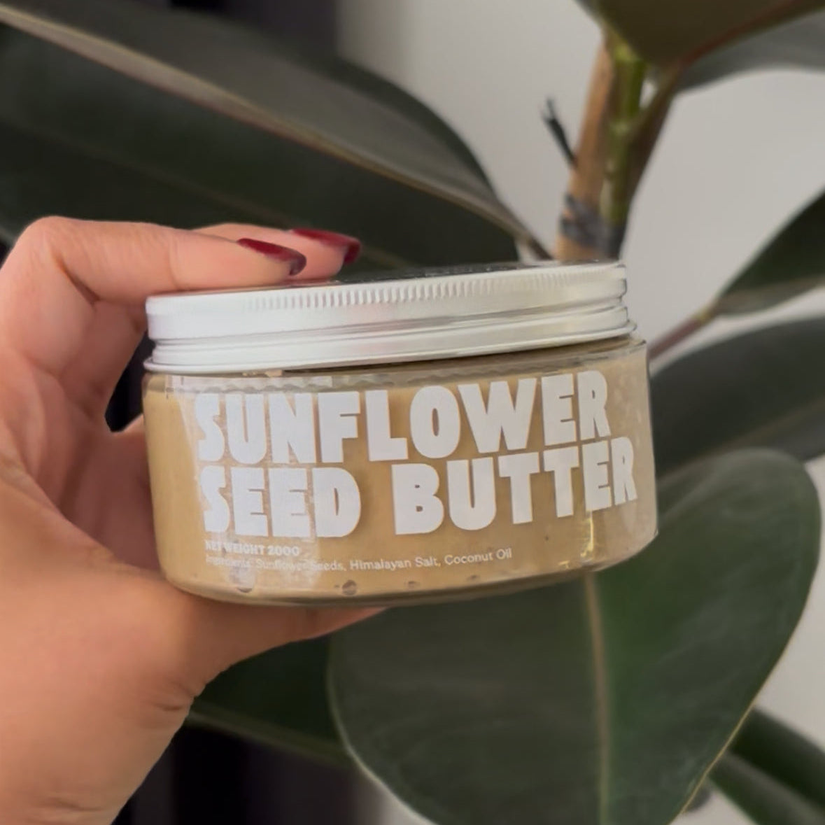 sunflower seed butter by NuttaNut. selai biji matahari di indonesia. jakarta, surabaya, cirebon same day delivery. healthy nut butter NuttaNut